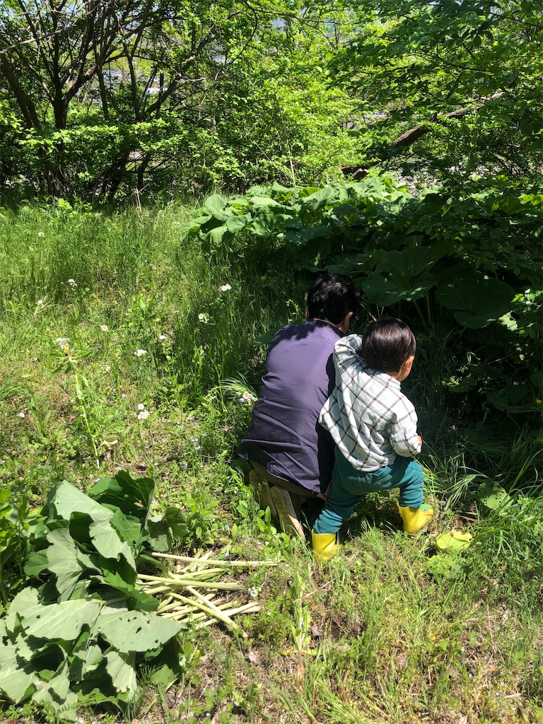 f:id:yumingar:20240601213409j:image f:id:yumingar:20240601213409j:image