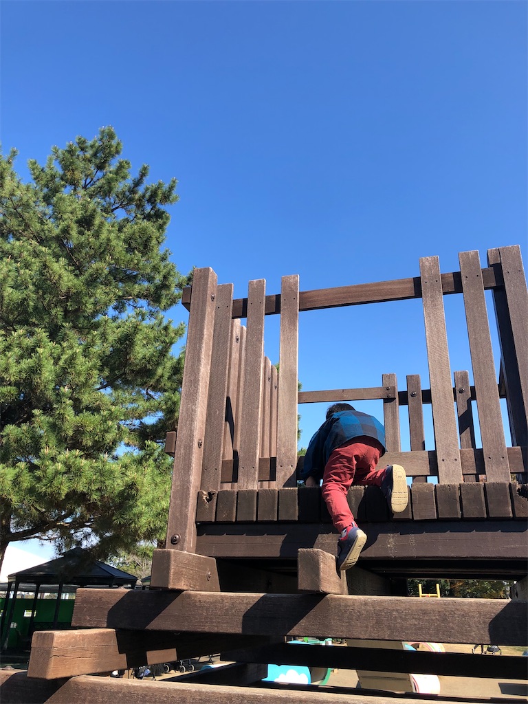 f:id:yumingar:20251104155334j:image f:id:yumingar:20251104155334j:image