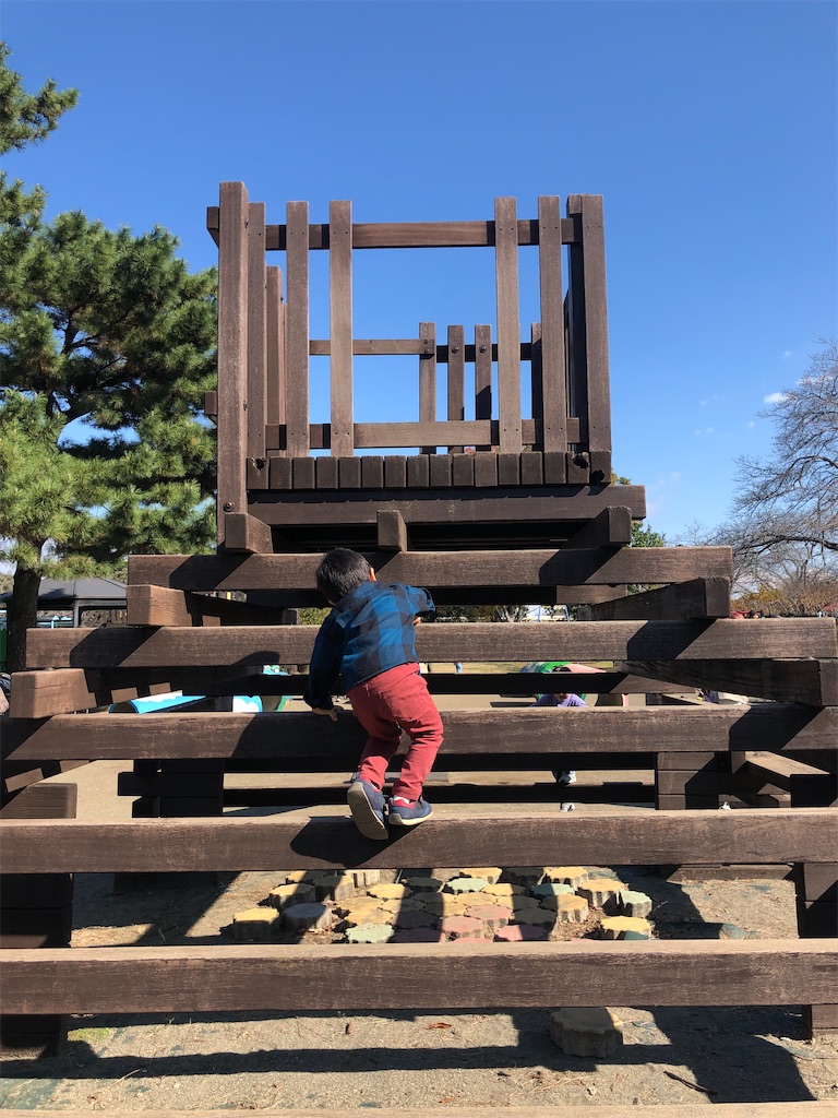 f:id:yumingar:20251104155341j:image f:id:yumingar:20251104155341j:image