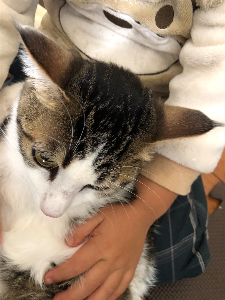 f:id:yumingar:20251109003150j:image f:id:yumingar:20251109003150j:image