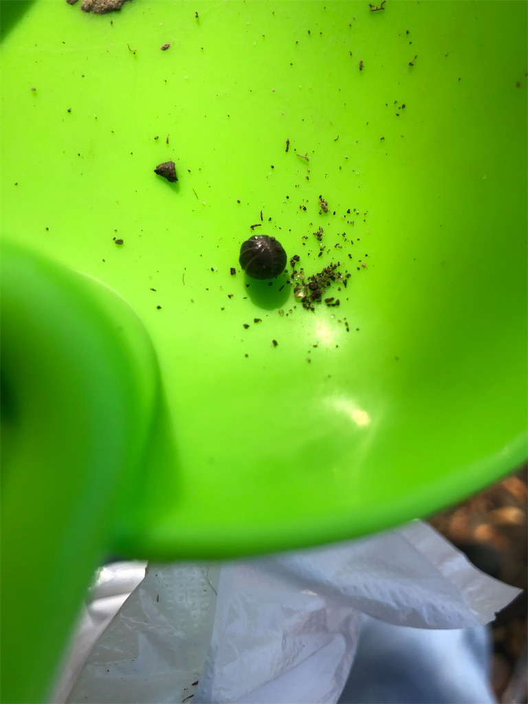 f:id:yumingar:20251117010404j:image f:id:yumingar:20251117010404j:image