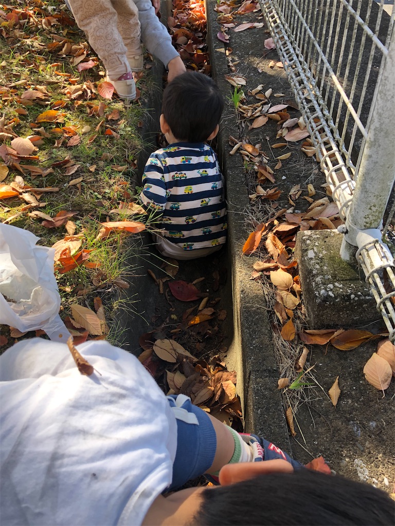 f:id:yumingar:20251117010408j:image f:id:yumingar:20251117010408j:image