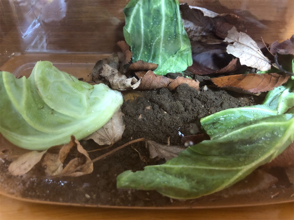 f:id:yumingar:20251117010415j:image f:id:yumingar:20251117010415j:image