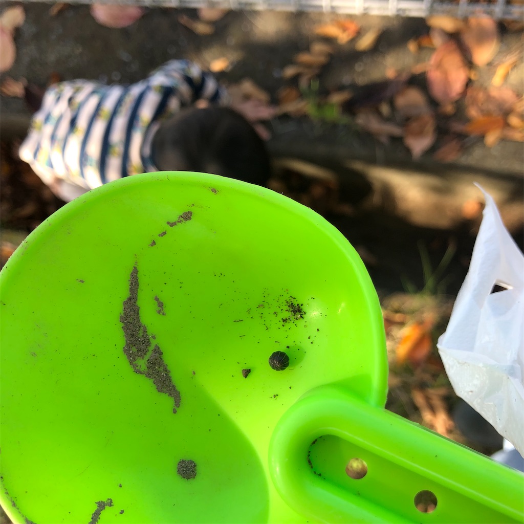 f:id:yumingar:20251117010421j:image f:id:yumingar:20251117010421j:image