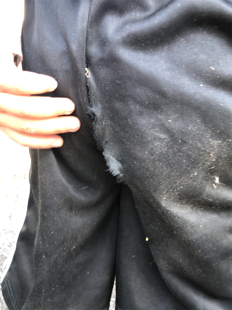 f:id:yumingar:20251117102453j:image f:id:yumingar:20251117102453j:image