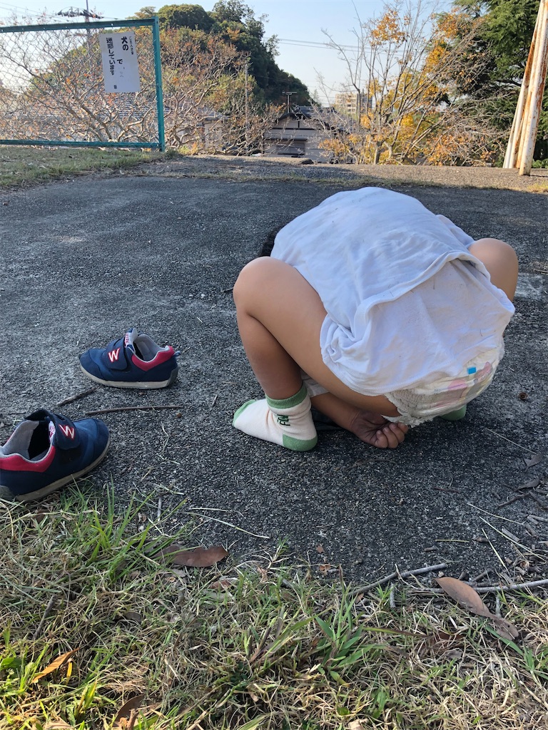 f:id:yumingar:20251117102505j:image f:id:yumingar:20251117102505j:image