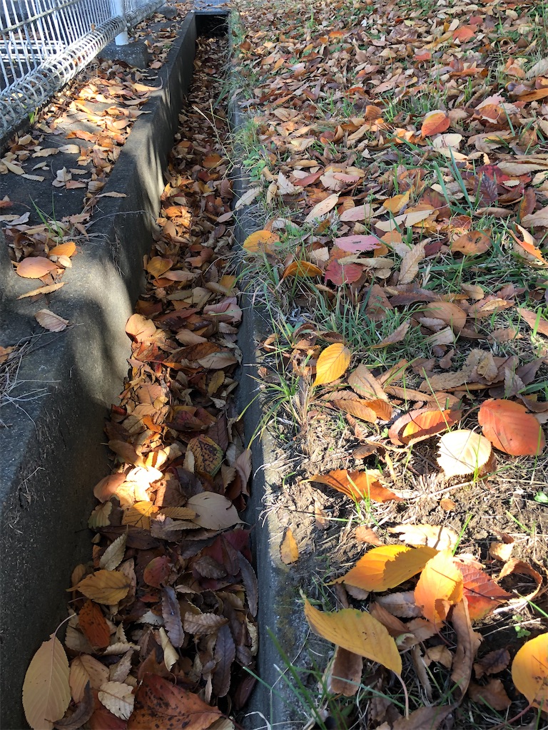 f:id:yumingar:20251117120335j:image f:id:yumingar:20251117120335j:image