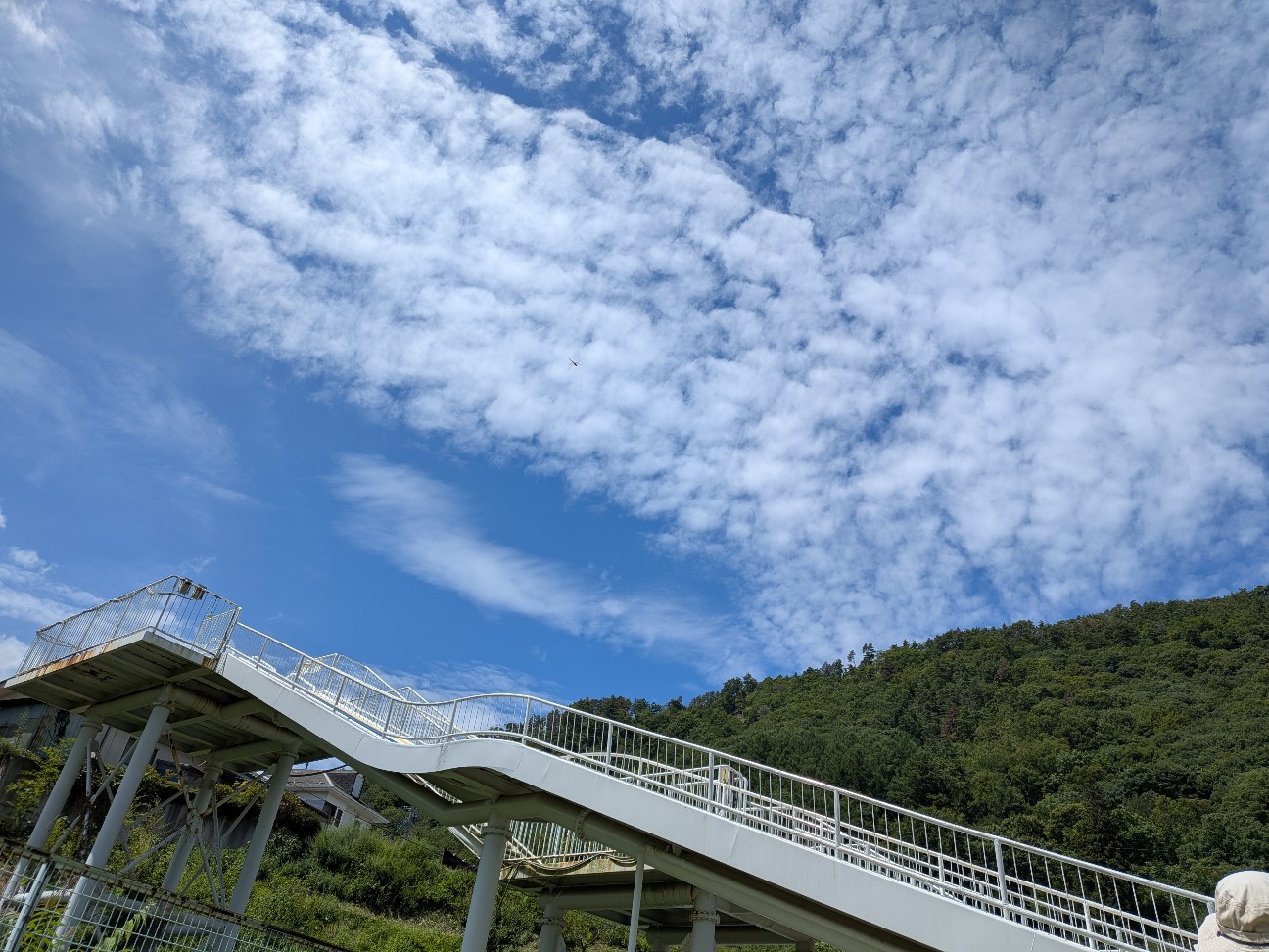 f:id:yumingar:20260823001113j:image f:id:yumingar:20260823001113j:image