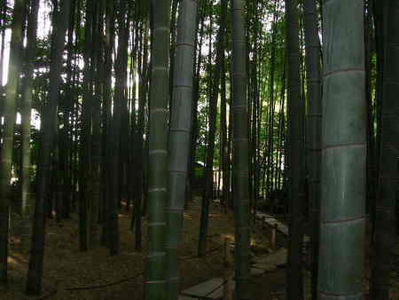 f:id:yumirin-105:20071023132339j:image:w200