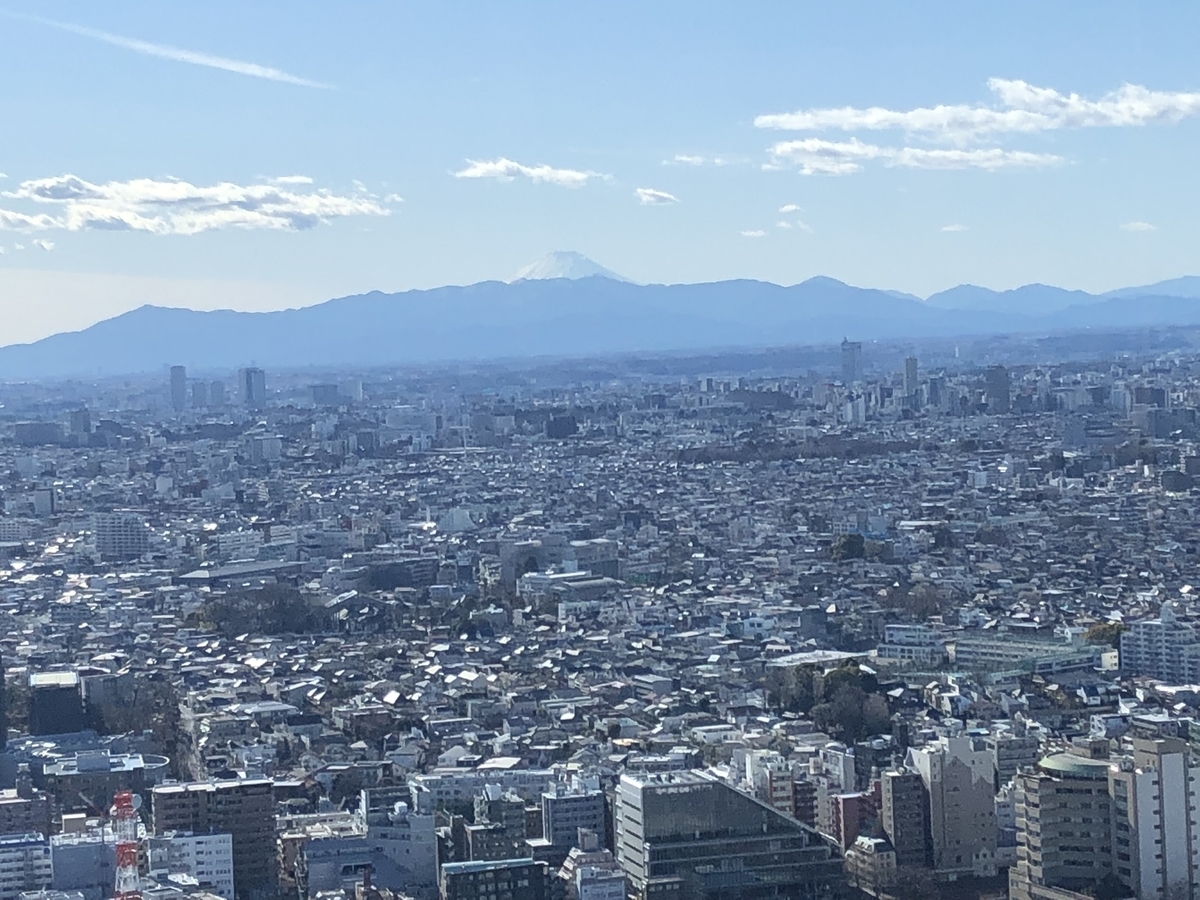 f:id:yumirizu:20220219054456j:plain