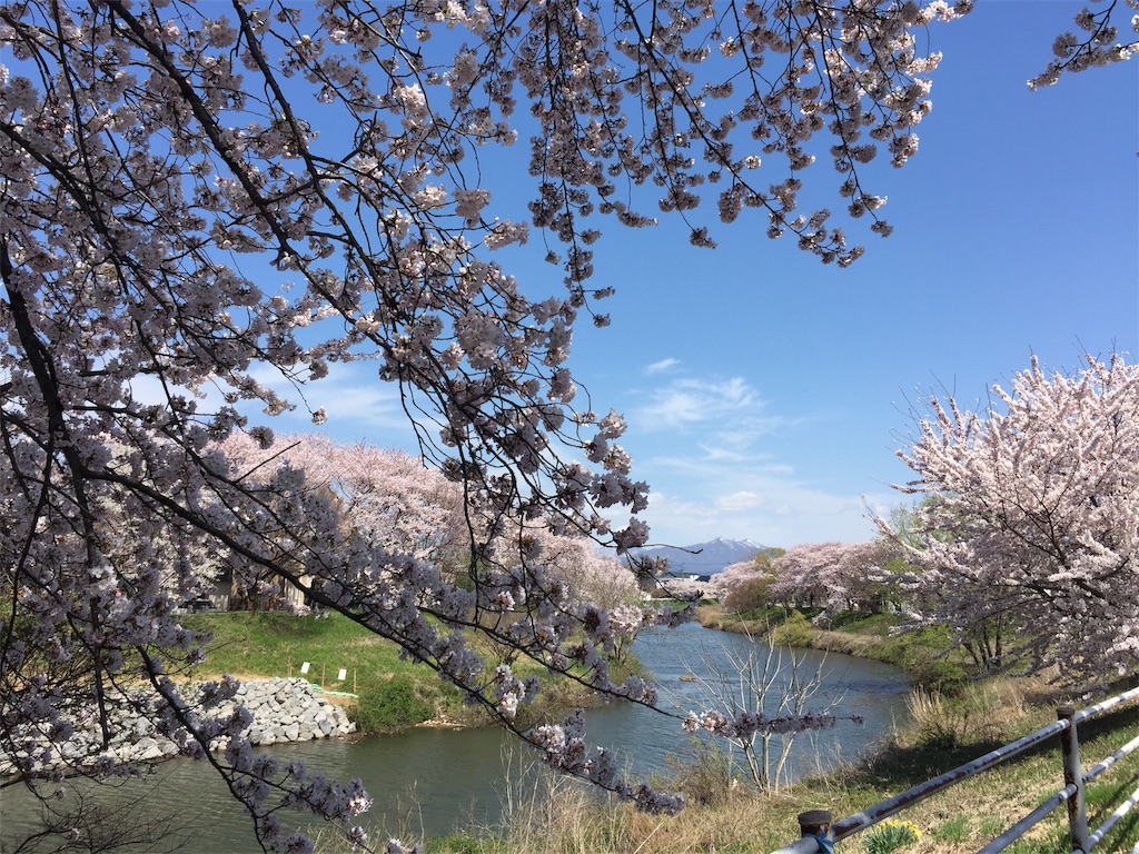 f:id:yumiton2525:20190422223310j:image