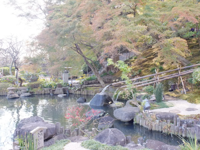 f:id:yummy21:20111122130003j:image:w360 f:id:yummy21:20111122130003j:image:w360