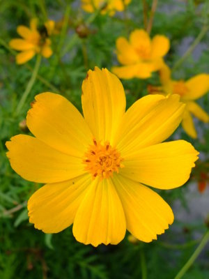 f:id:yummy21:20121101122402j:image:w300