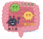 f:id:yummyjoy:20191213164913p:plain f:id:yummyjoy:20191213164913p:plain