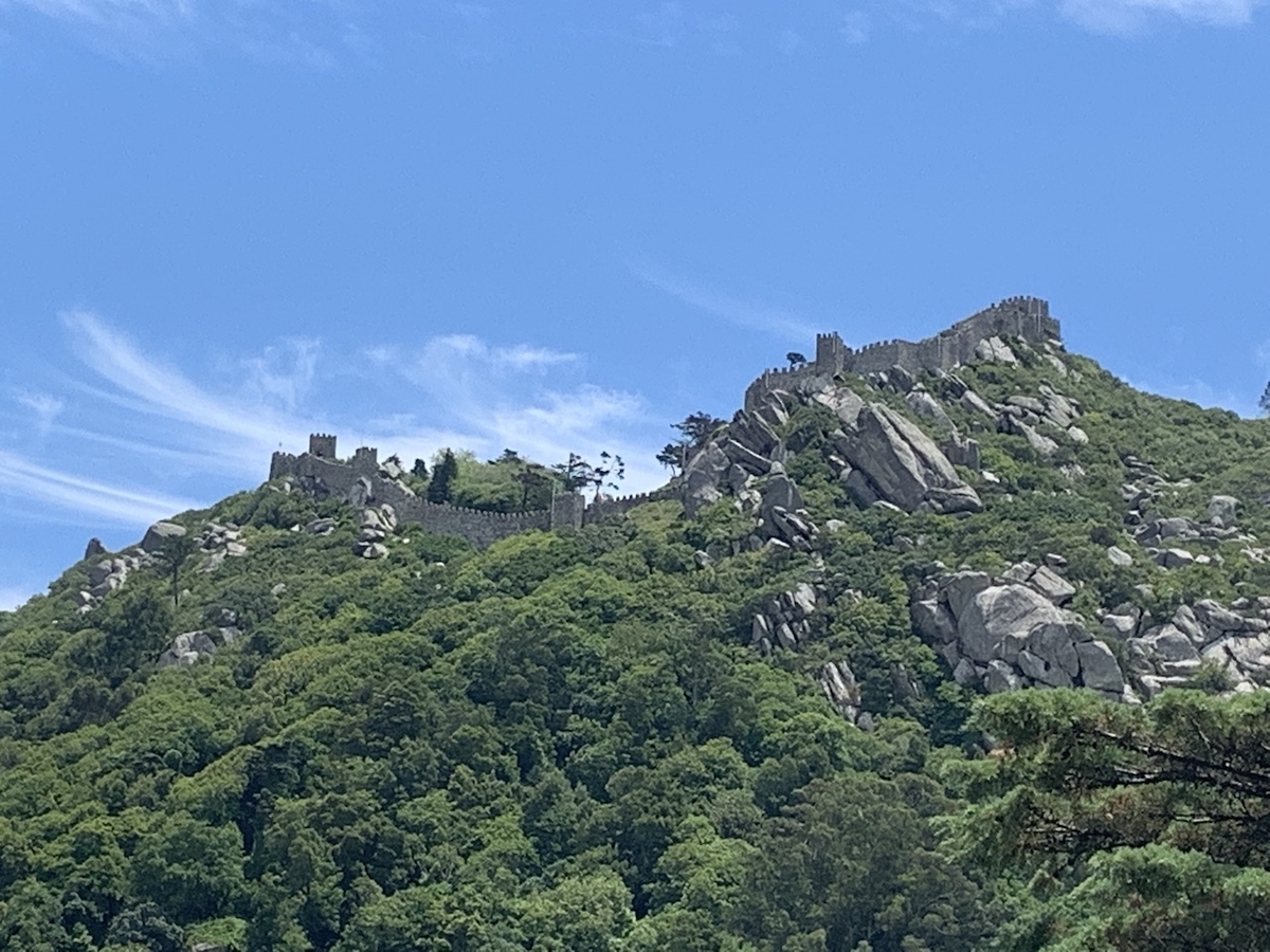 f:id:yumyum_eno:20190614125307j:plain f:id:yumyum_eno:20190614125307j:plain