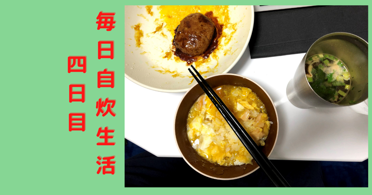 貧乏飯 毎日自炊生活 四日目 仕送りをしてもらった Zubolifeの日常