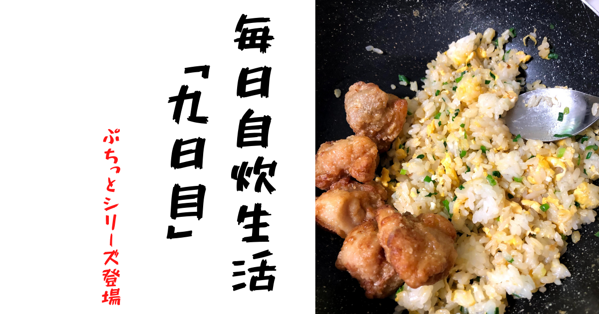 貧乏飯 毎日自炊生活 九日目 万能ぷちっとごはんシリーズ ゆんろぐ