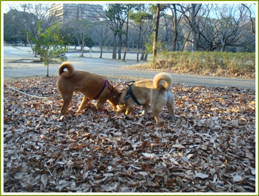 f:id:yun51:20100110160454j:image f:id:yun51:20100110160454j:image