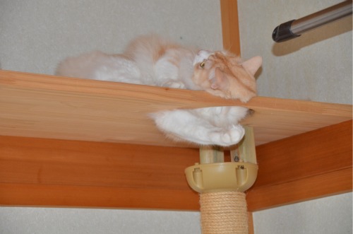 f:id:yun51:20110210083158j:image f:id:yun51:20110210083158j:image