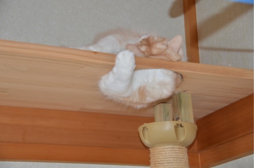 f:id:yun51:20110210083205j:image f:id:yun51:20110210083205j:image