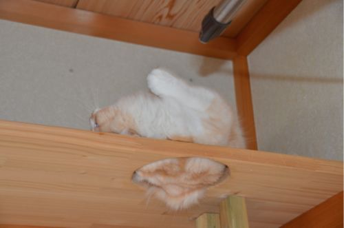 f:id:yun51:20110210083219j:image f:id:yun51:20110210083219j:image