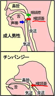 f:id:yun__yun:20081015020536j:image f:id:yun__yun:20081015020536j:image