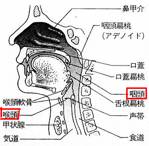 f:id:yun__yun:20081015020537j:image f:id:yun__yun:20081015020537j:image