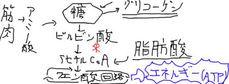 f:id:yun__yun:20090124013901j:image f:id:yun__yun:20090124013901j:image