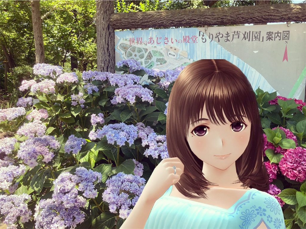 NEWラブプラス+ Amazon | NEWラブプラス “NEWリンコデラックス” ニンテンドー3DS