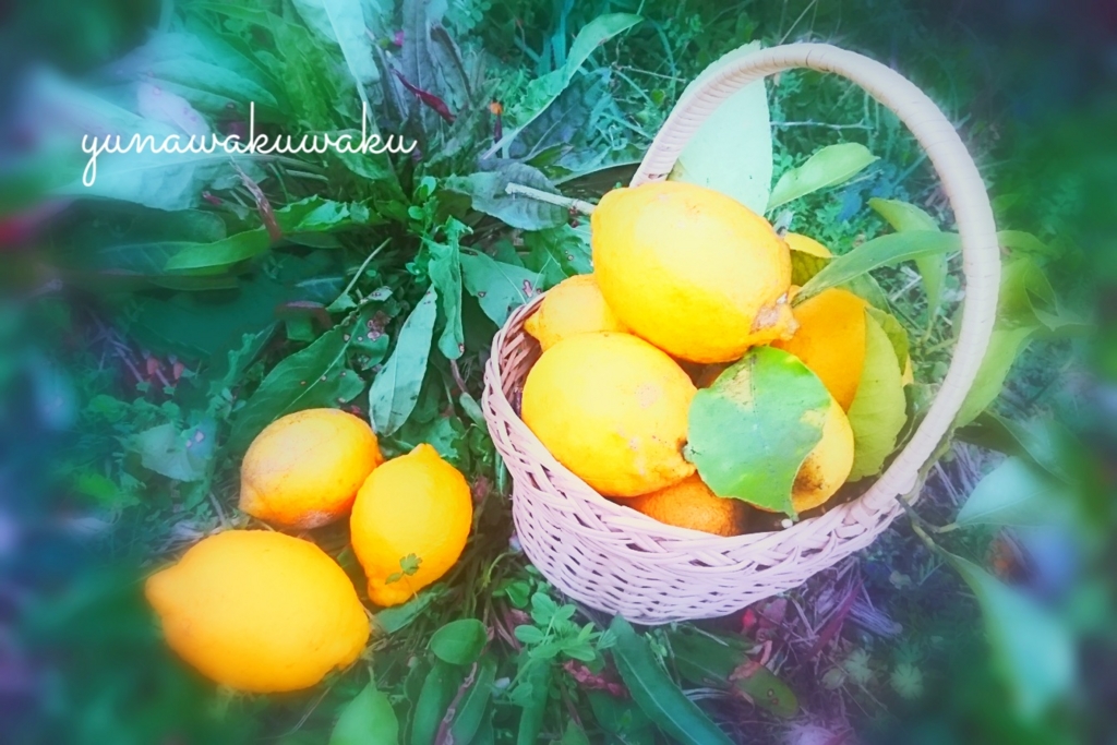 f:id:yunawakuwaku:20170304192830j:plain f:id:yunawakuwaku:20170304192830j:plain