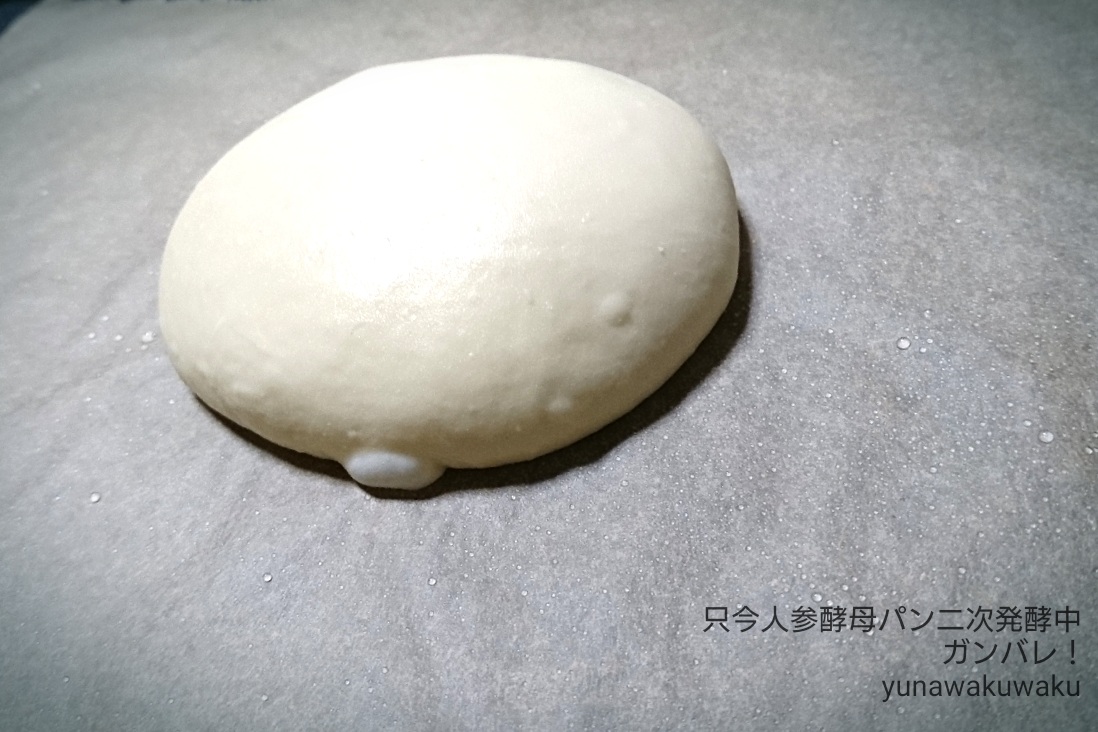 f:id:yunawakuwaku:20190912235323j:plain f:id:yunawakuwaku:20190912235323j:plain