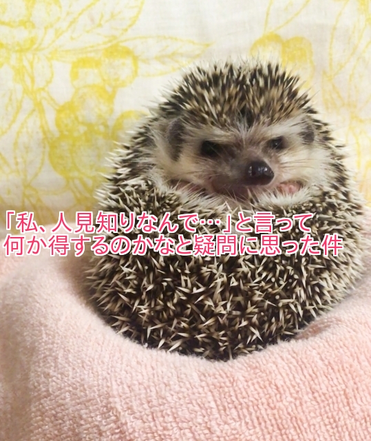 f:id:yunipepe4555:20171013182407j:plain