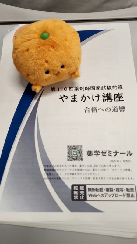 薬剤師国家試験】110回受験生が当日の過ごし方・持ち物・会場の事を
