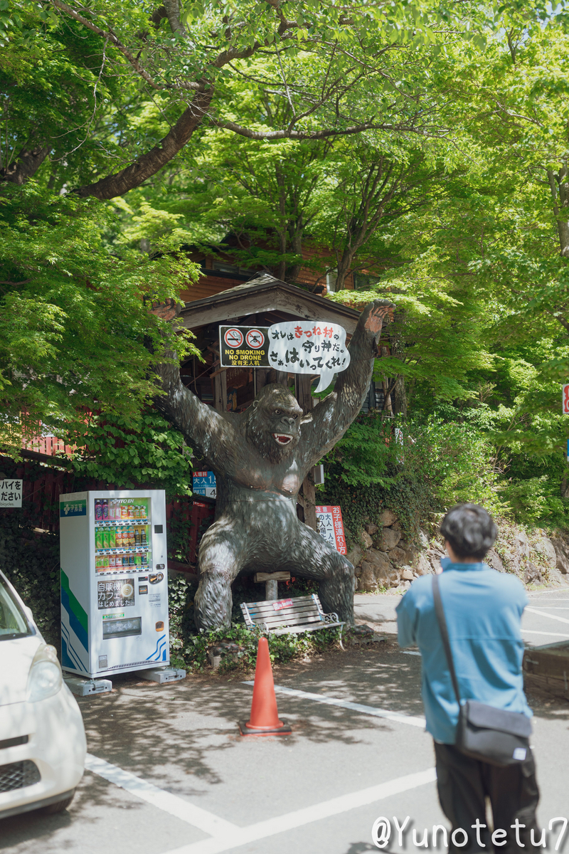 宮城蔵王キツネ村入口