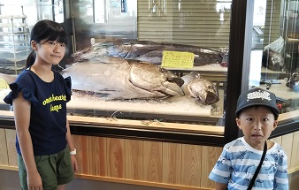 f:id:yunotomo:20180817085335j:plain