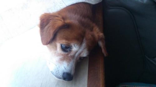 f:id:yunoyuno28:20140130084852j:image f:id:yunoyuno28:20140130084852j:image