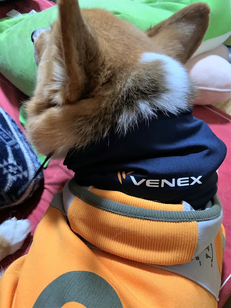 f:id:yunta4:20190119104514j:plain
