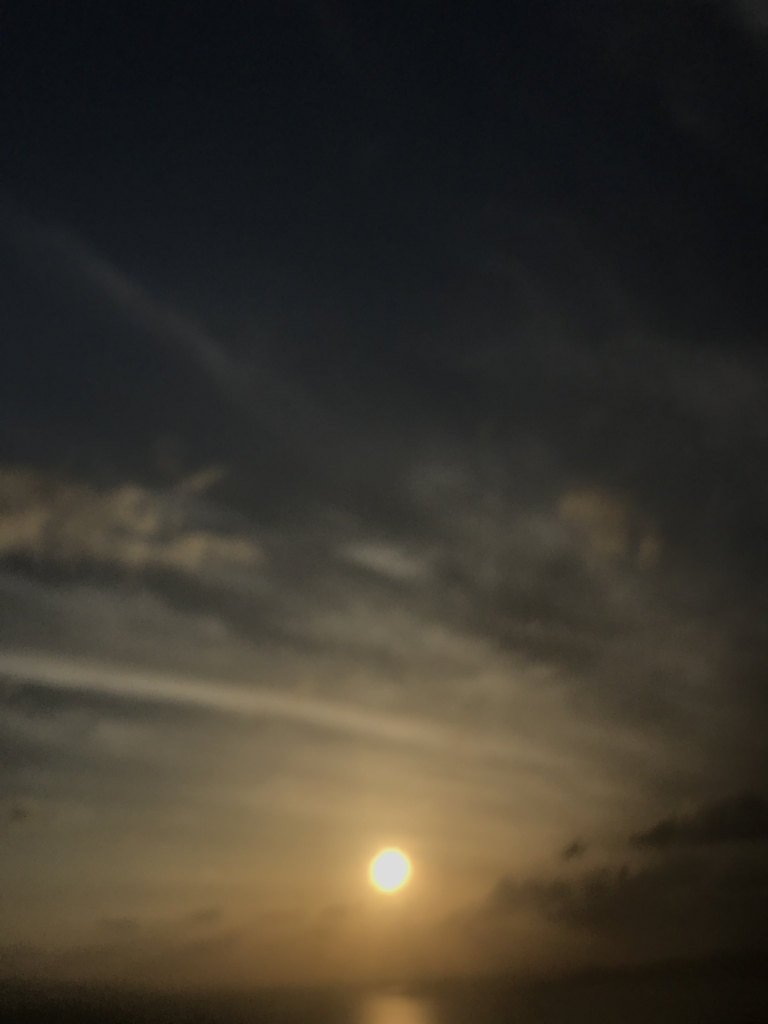 f:id:yuntakuinokashira:20180530191716j:plain f:id:yuntakuinokashira:20180530191716j:plain