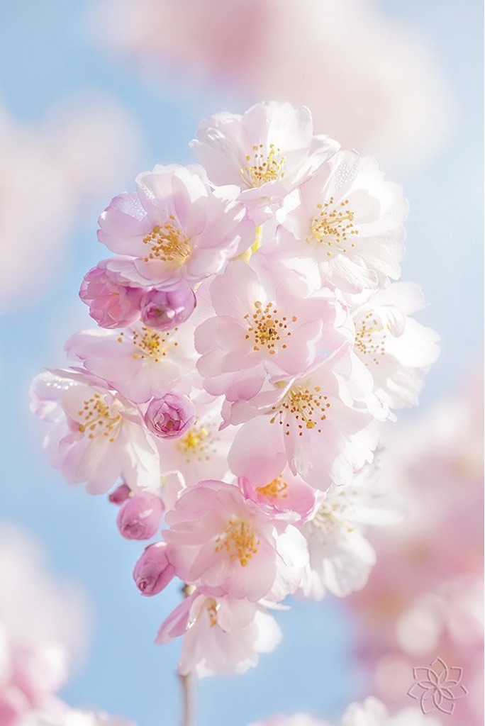 f:id:yuntamaru:20210331155134j:image f:id:yuntamaru:20210331155134j:image