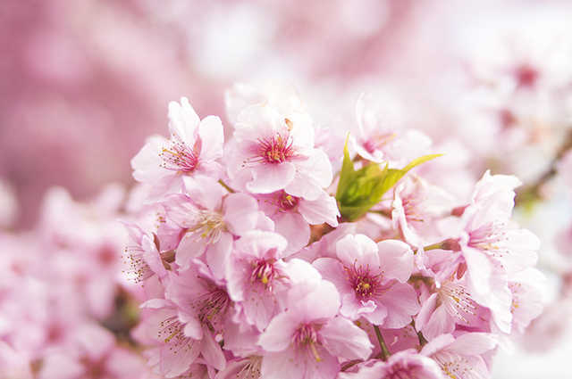f:id:yuntonbon:20220120220455j:plain