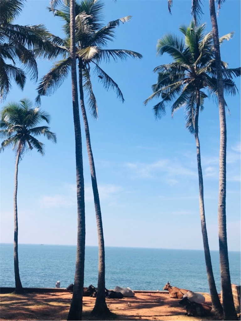 f:id:yuntora:20190121201119j:image