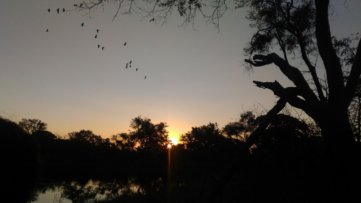 f:id:yunvna9:20200519171843j:plain