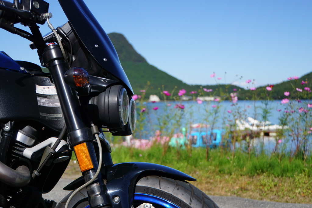 f:id:yupimon:20190125222725j:plain