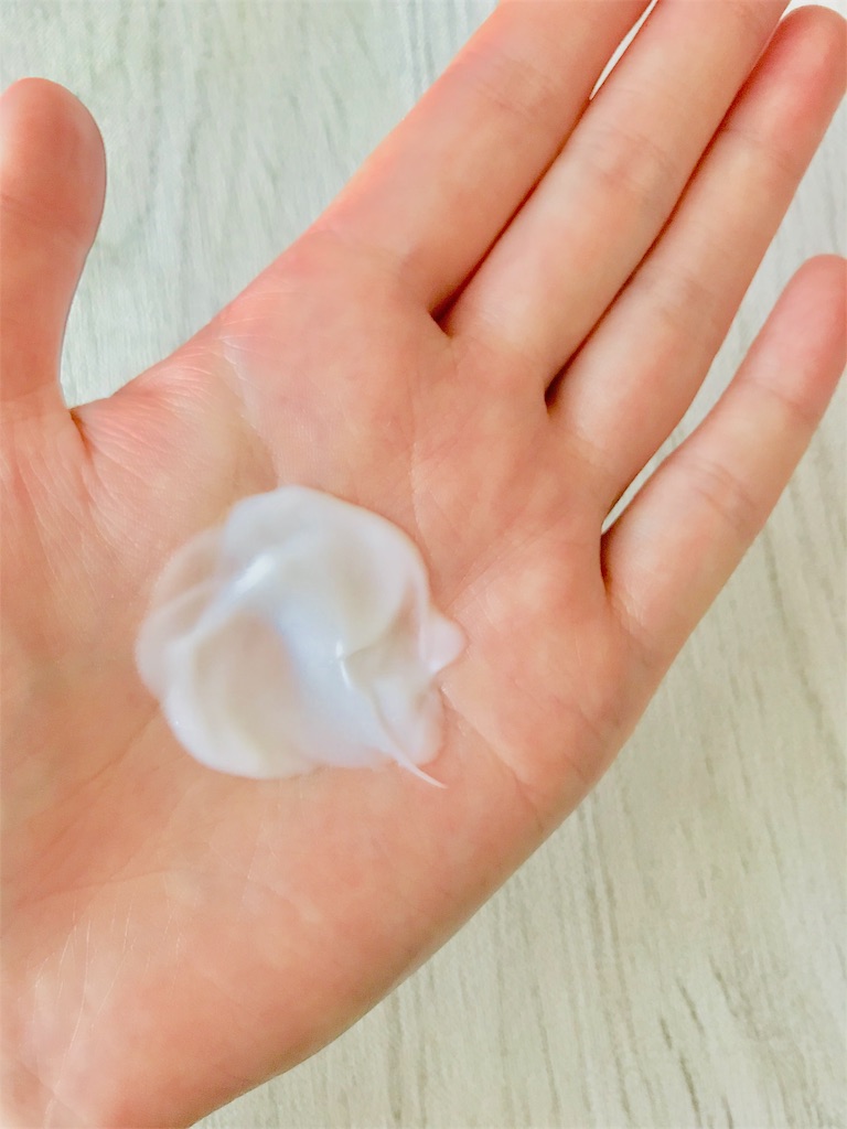 f:id:yupisu:20190607132457j:image