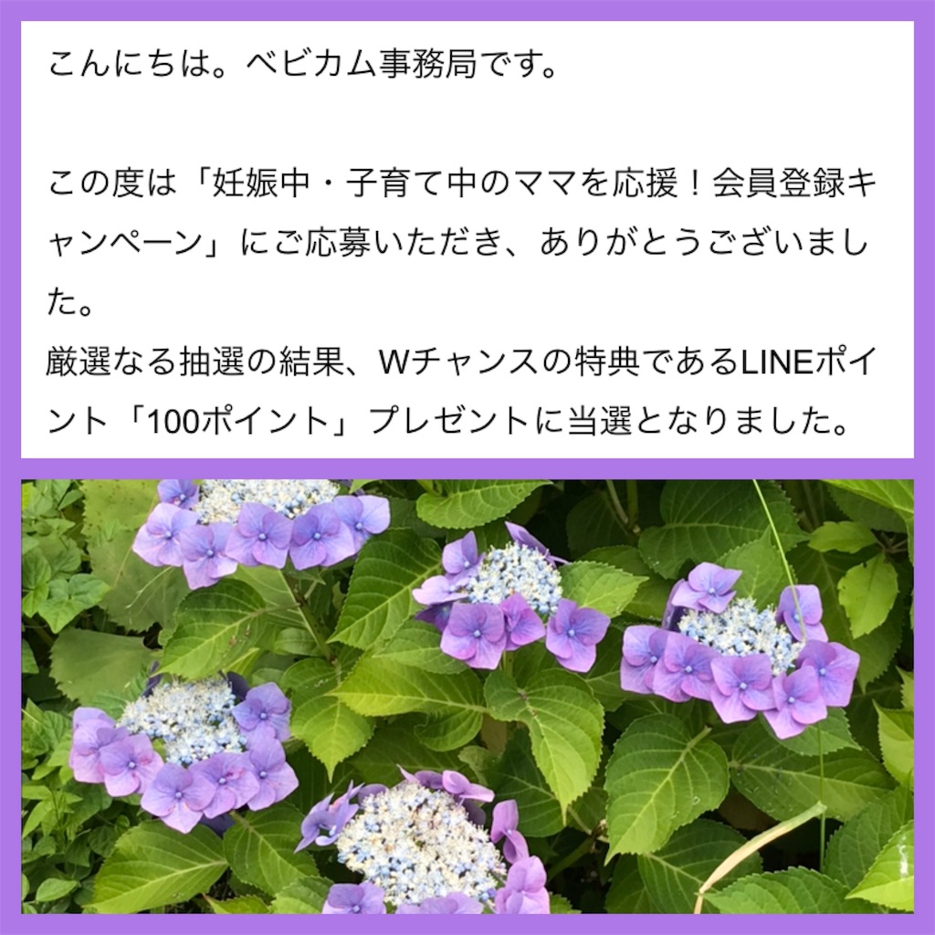 f:id:yupisu:20190625144657j:image f:id:yupisu:20190625144657j:image