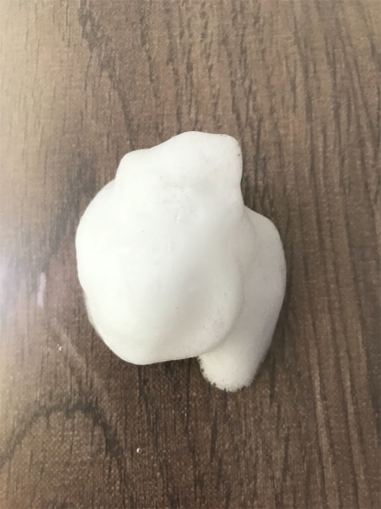 f:id:yupisu:20191231202932j:image