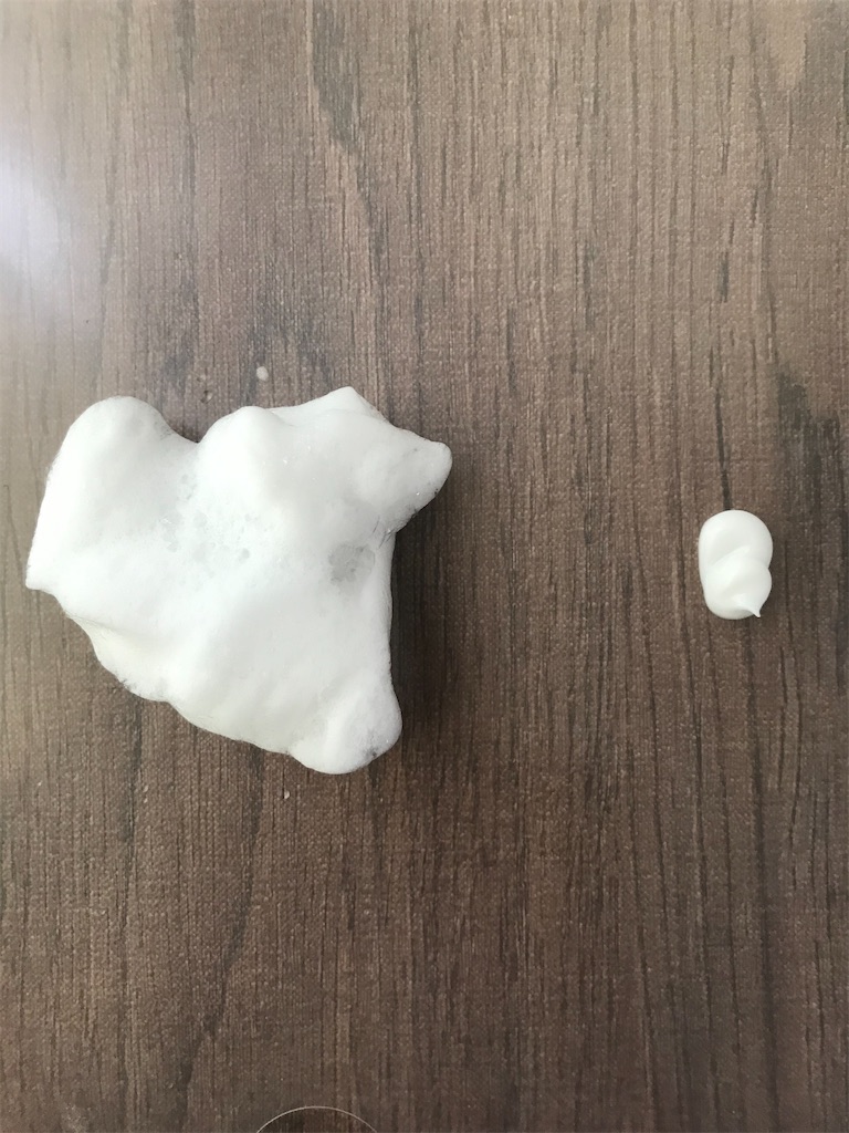 f:id:yupisu:20191231202936j:image