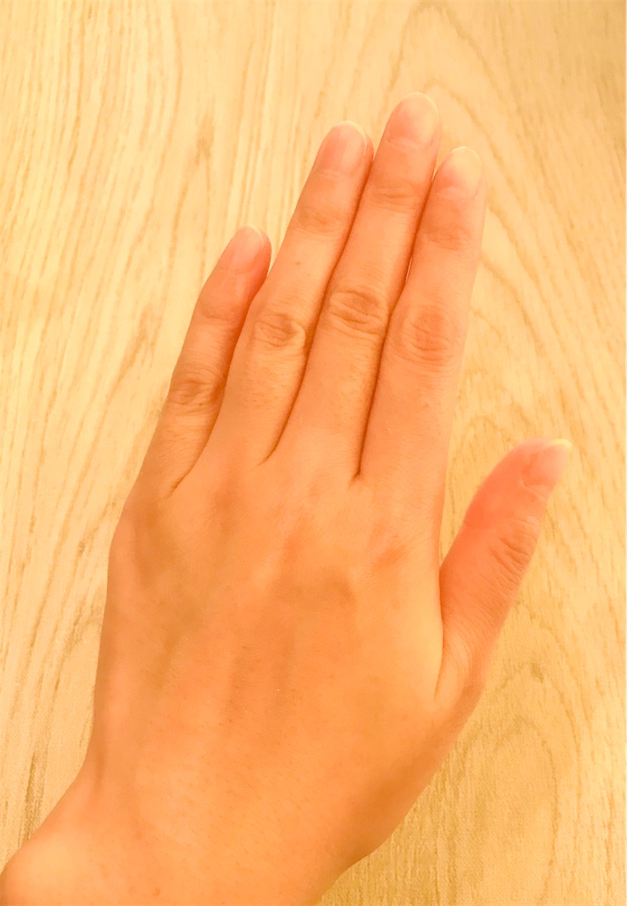 f:id:yupisu:20201015173417j:image