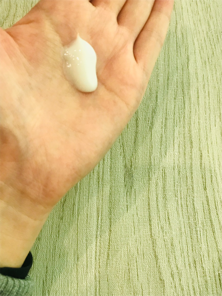 f:id:yupisu:20201016150645j:image f:id:yupisu:20201016150645j:image