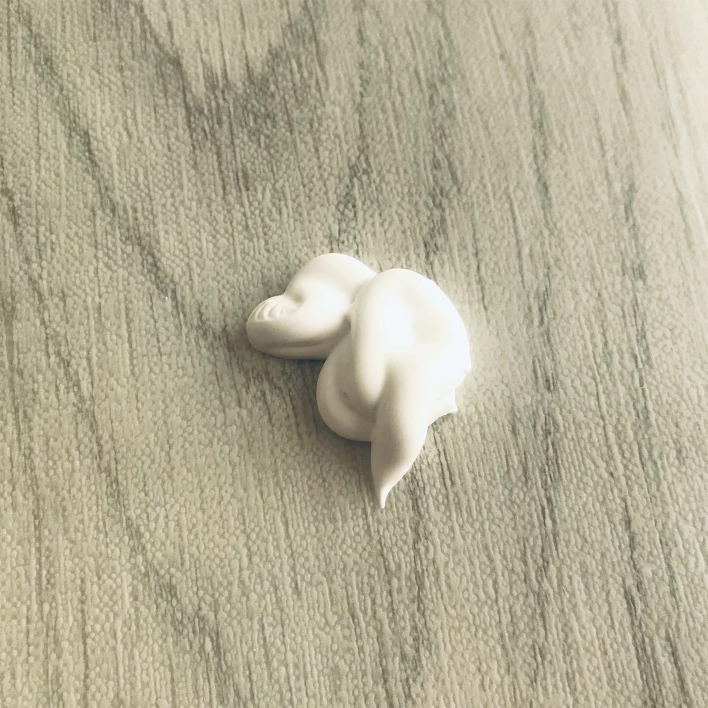 f:id:yupisu:20201105163359j:image